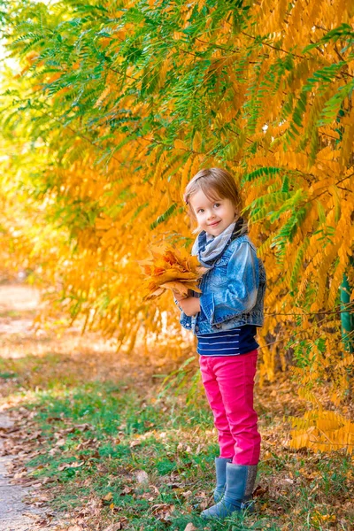 Bambina con foglie d'oro giallo autunno. Bambino giocare all'aperto nel parco . — Foto Stock