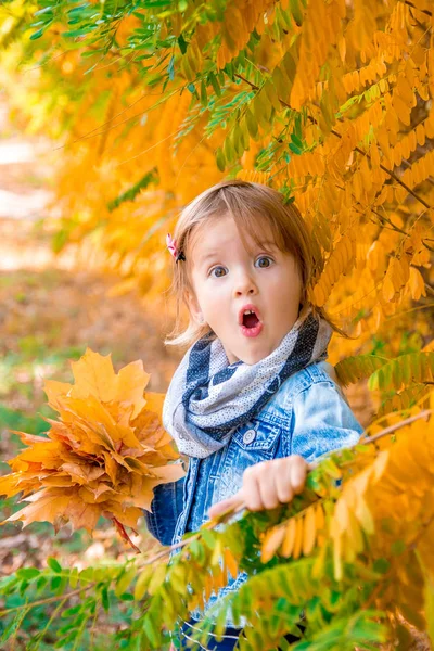 Bambina con foglie d'oro giallo autunno. Bambino giocare all'aperto nel parco . — Foto Stock