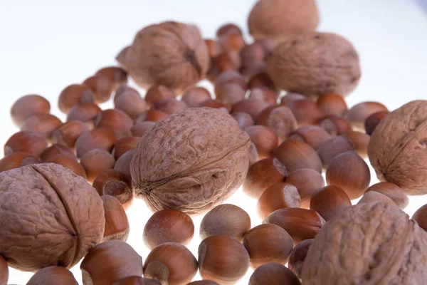 Hasselnötter och valnötter på en vit bakgrund. Isolerade. Gruop torkade nötter. Närbild. — Stockfoto