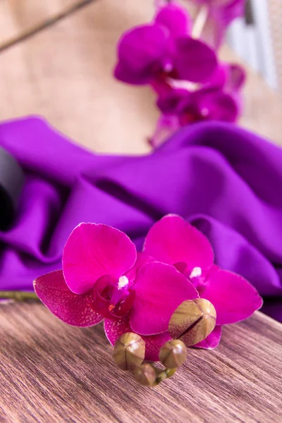 Közelkép a lila orchidea fából készült háttér. — Stock Fotó