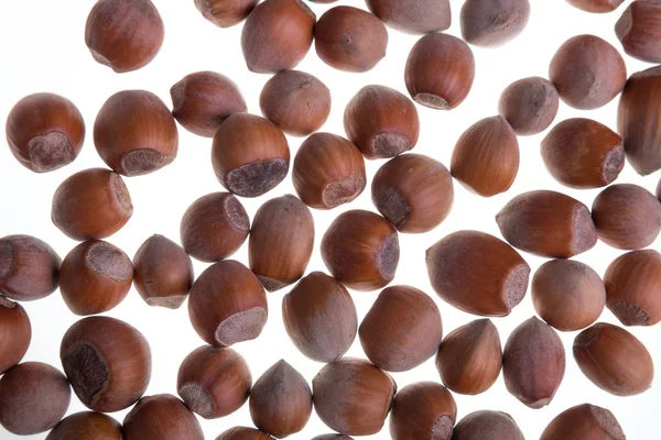 Hasselnötter på en vit bakgrund. Isolerade. Torkade nötter. — Stockfoto