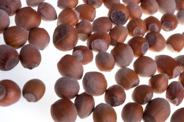 Beyaz bir arka plan üzerinde fındık. İzole