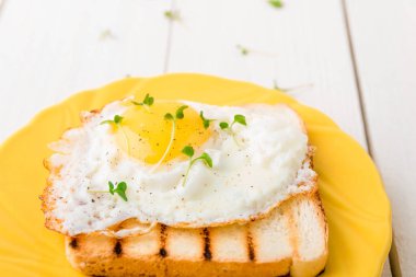 Yumurta beyaz ahşap zemin üzerinde mikro-yeşillik ile sarı plaka ile tost. Sağlıklı kahvaltı. 