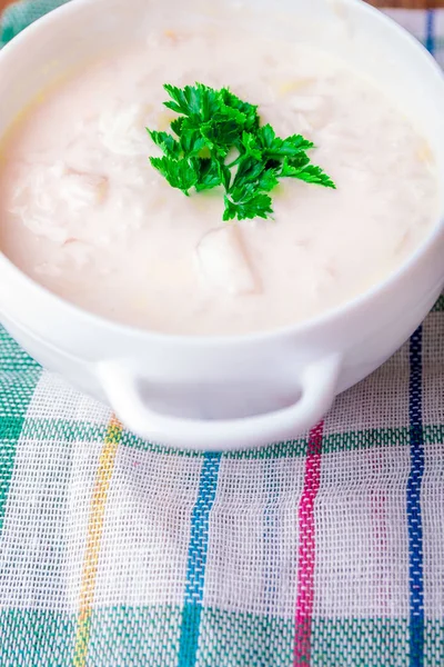 Σούπα με κρέμα γάλακτος σε λευκή μπολ. Κοντινό πλάνο. — Φωτογραφία Αρχείου