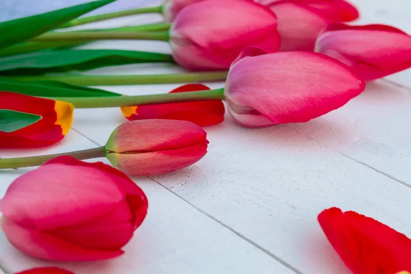 Tulipanes rojos sobre fondo de madera blanca. De cerca. . —  Fotos de Stock