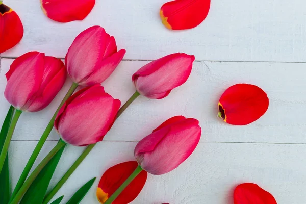 Tulipani rossi su sfondo bianco in legno. Vista dall'alto. Ricevuto. Biglietto d'auguri . — Foto Stock