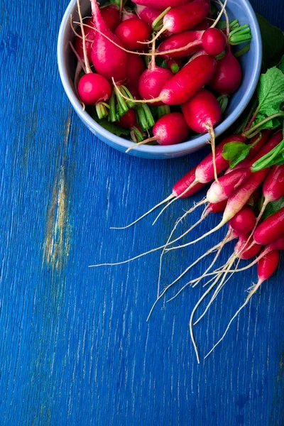 Mavi kapta taze turp. Üstten Görünüm. Bir grup küçük turp. Kopya alanı.