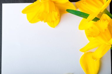 Nergis siyah arka plan üzerine boş oyun kağıdı yakınındaki buket. Üstten Görünüm. Uzay kopyalayın. Anneler günü ya da kadın gün. Tebrik.