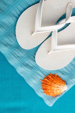 Seashell mavi zemin üzerine yakınındaki flop flip. Üstten Görünüm.