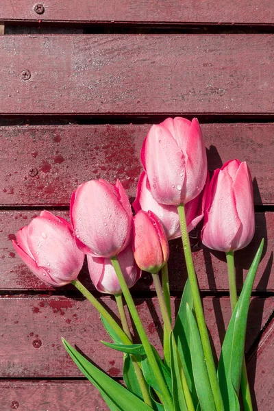 Tulipani rosa su sfondo di legno. Ricevuto. Biglietto d'auguri . — Foto Stock