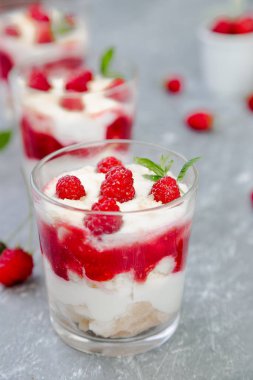 Tiramisu ahududu gri arka plan üzerine gözlük ile. Üç bölümü. İtalyan tatlı