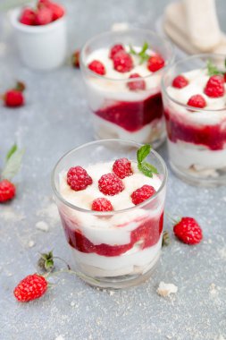 Tiramisu ahududu gri arka plan üzerine gözlük ile. Üç bölümü. İtalyan tatlı