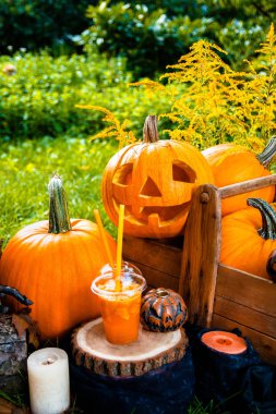 Halloween pumpkins dekorasyon zemin üzerine yakınındaki kokteyl. Bir partisi için kokteyl. Jack-o-Lantern. 