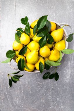 Sarı armut gri arka planda gri sepet içinde. Hasat. Üstten Görünüm. Armut dolu kutu.