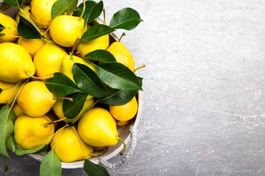 Sarı armut gri arka planda gri sepet içinde. Hasat. Üstten Görünüm. Armut tam şişe. Kopya alanı.