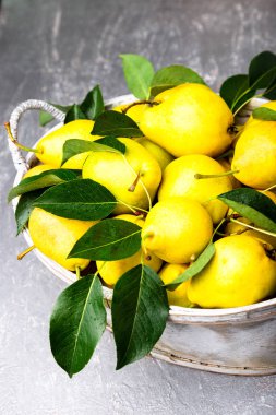 Sarı armut gri arka planda gri sepet içinde. Hasat. Yakın çekim. Armut dolu kutu.