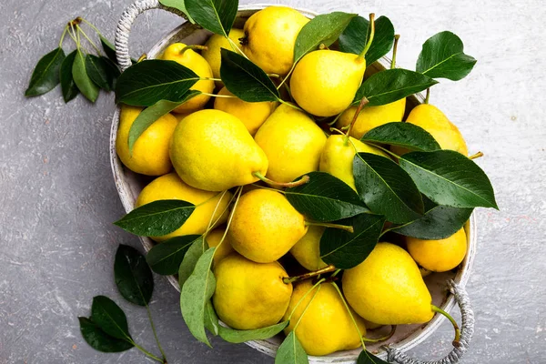 Sarı armut gri arka planda gri sepet içinde. Hasat. Üstten Görünüm. Armut dolu kutu.