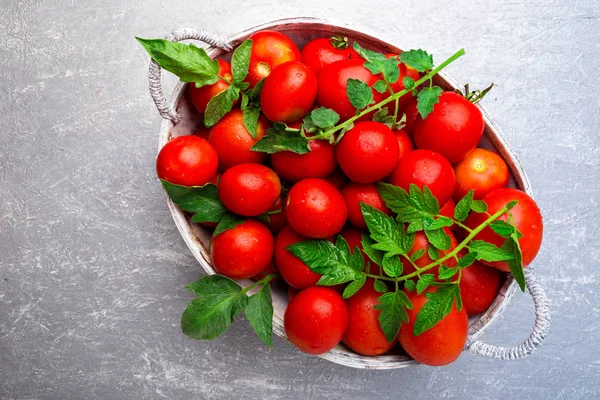 Gri arka plan üzerinde gri sepet içinde kırmızı domates. Üstten Görünüm. Uzay kopyalayın. Hasat. Domates dolu kutu.