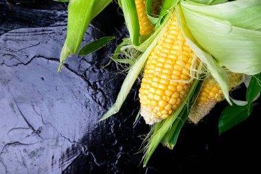 Siyah arka plan üzerine taze Mısır. Uzay kopyalayın. Çerçeve. Üstten Görünüm. Karataş gıda. Diyet. Sağlıklı.