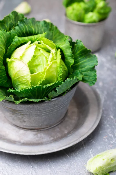 Metal plaka gri arka plan üzerinde taze yeşil lahana. Yakın çekim