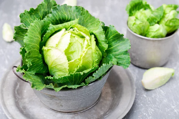 Metal plaka gri arka plan üzerinde taze yeşil lahana. Yakın çekim