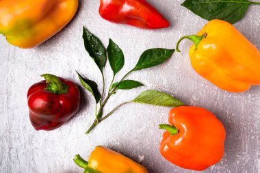 Kırmızı, turuncu ve sarı biber gri arka plan üzerinde. Sağlıklı organik sebze. Üstten Görünüm. Sanat sınır tasarlamak. Çerçeve