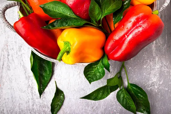Kırmızı ve sarı biber gri sepet içinde. Sağlıklı organik sebze. Üstten Görünüm. 