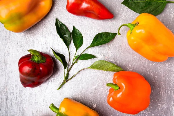 Kırmızı, turuncu ve sarı biber gri arka plan üzerinde. Sağlıklı organik sebze. Üstten Görünüm. Sanat sınır tasarlamak. Çerçeve