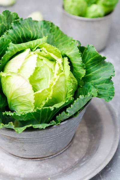 Φρέσκο πράσινο λάχανο στη μεταλλική πλάκα σε γκρι φόντο. Κοντινό πλάνο — Φωτογραφία Αρχείου