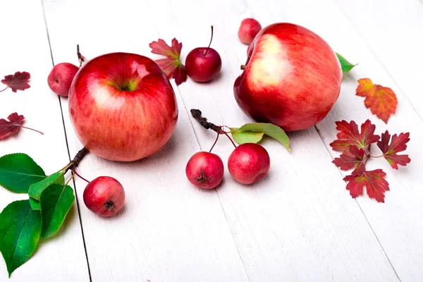 Manzanas rojas grandes y pequeñas sobre fondo de madera blanca. De cerca. Concepto de otoño . — Foto de Stock