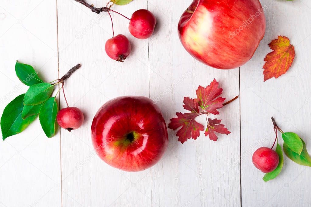 Red apples big and small on white wooden background. Frame. Autumn concept. Top view. Copy space.