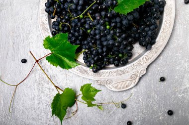 Kırmızı Şaraplık gri arka plan üzerinde gümüş tepsi içinde. Üstten Görünüm. Kopya alanı.