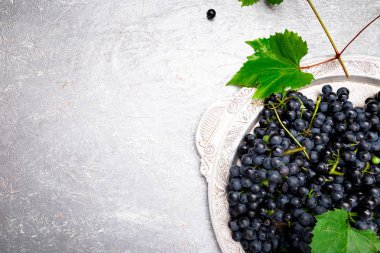 Kırmızı Şaraplık gri arka plan üzerinde gümüş tepsi içinde. Üstten Görünüm. Kopya alanı.