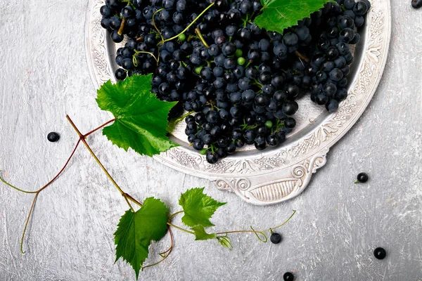 Kırmızı Şaraplık gri arka plan üzerinde gümüş tepsi içinde. Üstten Görünüm. Kopya alanı.