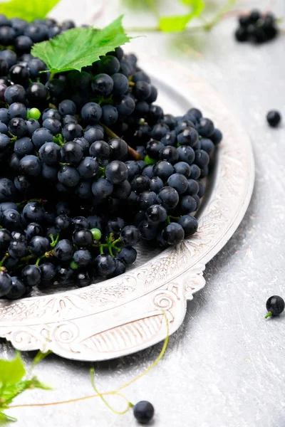 Kırmızı Şaraplık gri arka plan üzerinde gümüş tepsi içinde. Yakın çekim.