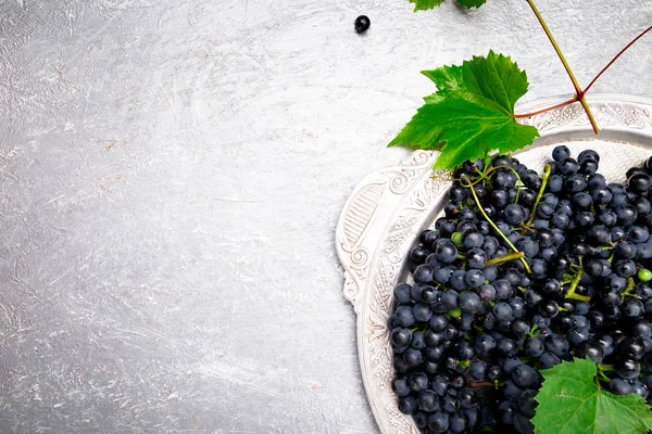 Kırmızı Şaraplık gri arka plan üzerinde gümüş tepsi içinde. Üstten Görünüm. Kopya alanı.