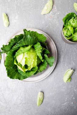 Metal plaka gri arka plan üzerinde taze yeşil lahana. Üstten Görünüm. Kopya alanı.