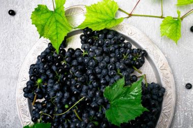 Kırmızı Şaraplık gri arka plan üzerinde gümüş tepsi içinde. Üstten Görünüm. Kopya alanı.