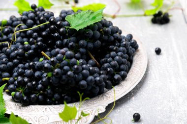 Kırmızı Şaraplık gri arka plan üzerinde gümüş tepsi içinde. Yakın çekim.