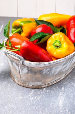 Kırmızı ve sarı biber gri sepet içinde. Sağlıklı organik sebze. Yakın çekim.