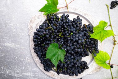 Kırmızı Şaraplık gri arka plan üzerinde gümüş tepsi içinde. Üstten Görünüm. Kopya alanı.