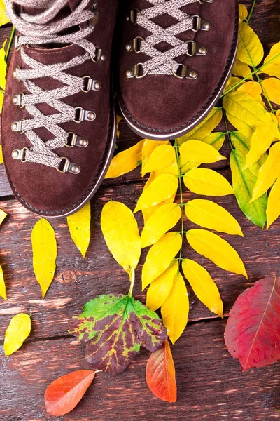 Botas de gamuza marrón sobre fondo de madera con hojas. Acostado. Zapatos de otoño o invierno . —  Fotos de Stock