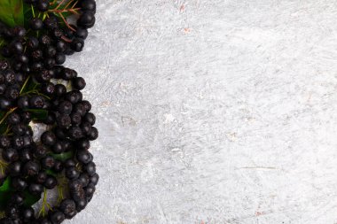 Chokeberry gri arka plan üzerinde. Yaprak ile Aronia berry. Üstten Görünüm. Kopya alanı.