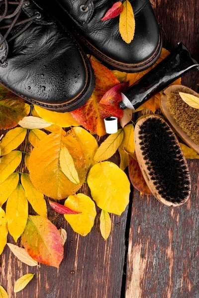 Botas impermeables negras sobre fondo de madera con equipo de pulido de hojas de otoño, pincel y crema pulidora. Vista superior. Puesta plana . —  Fotos de Stock