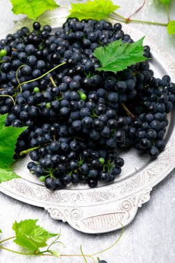 Kırmızı Şaraplık gri arka plan üzerinde gümüş tepsi içinde. Yakın çekim.