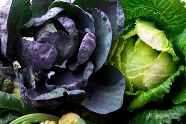 Yeşil ve mor lahana. Lahana arka planını çeşitli
