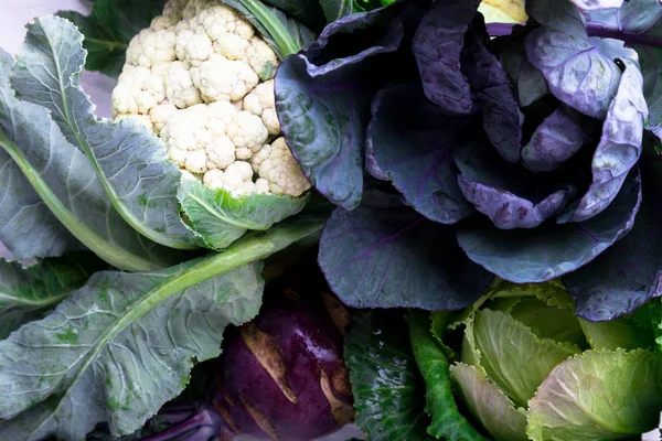 Olika av kål Broccoli blomkål. Blandade av huvudkål bakgrund. — Stockfoto