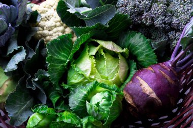 Çeşitli lahana brokoli karnabahar. Sepet içinde lahana, muhtelif.