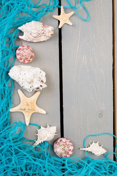 Seashells with blue net on grey wooden background. Flat lay. — Stock Photo, Image