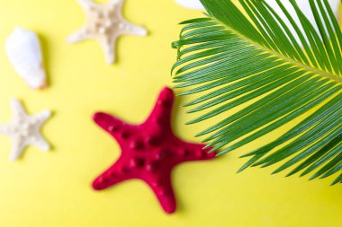 Tropikal arka plan palmiye ağaçların dalları ile sarı zemin üzerine bulanık deniz yıldızı. Tatil. Seyahat. Kopya alanı.